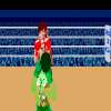 PUNCH OUT