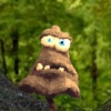 BUTCH MUSHROOM